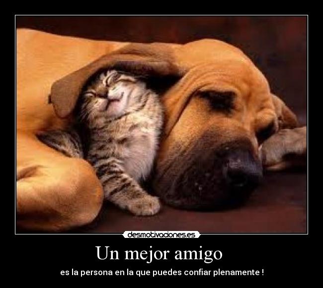 Un mejor amigo -