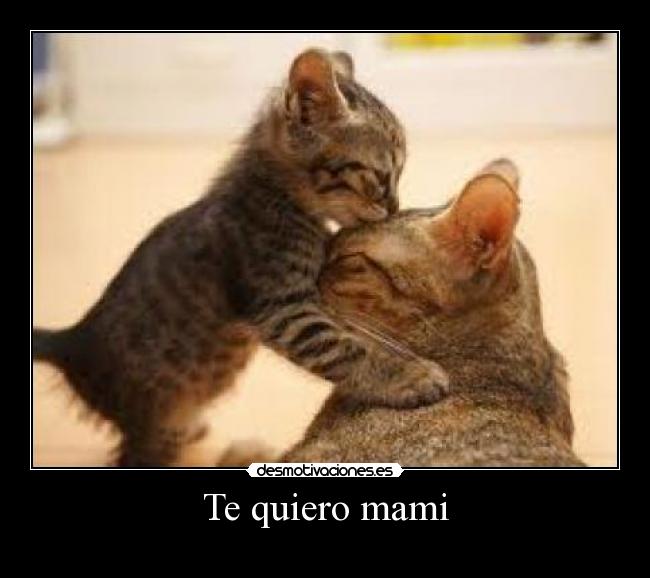 Te quiero mami - 