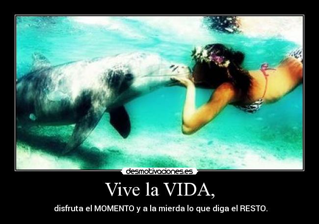Vive la VIDA, - 
