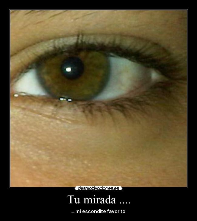 carteles andres desmotivaciones