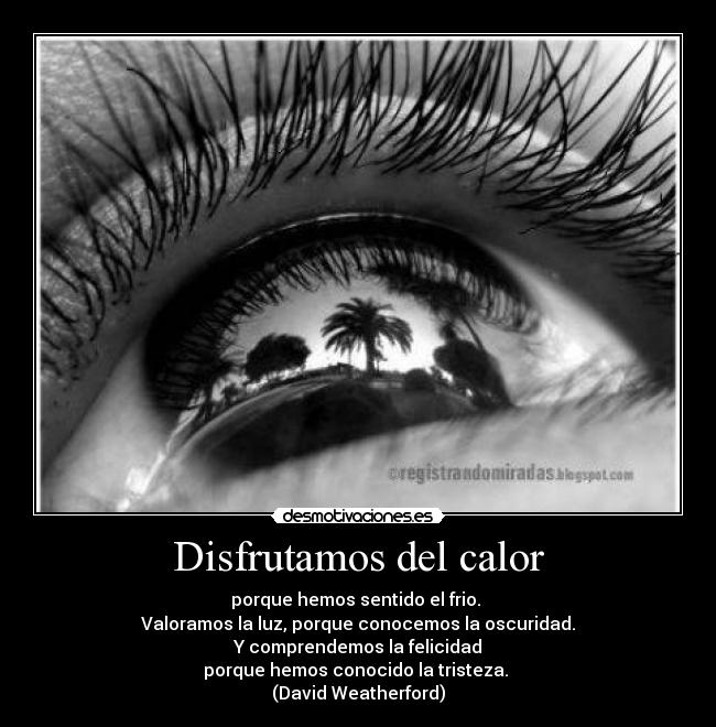 Disfrutamos del calor - 