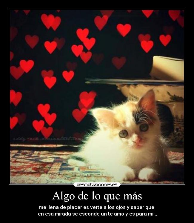 Algo de lo que más - 