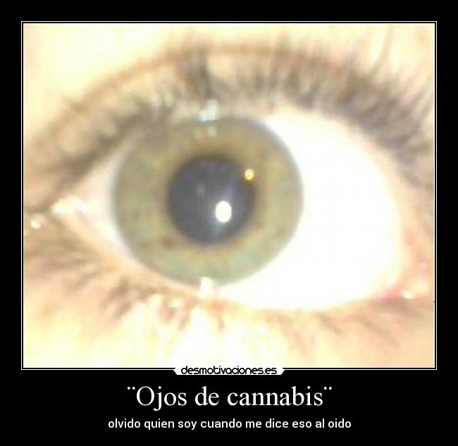 ¨Ojos de cannabis¨ - olvido quien soy cuando me dice eso al oido