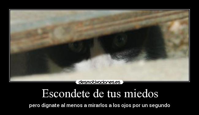 Escondete de tus miedos -  pero dignate al menos a mirarlos a los ojos por un segundo 
