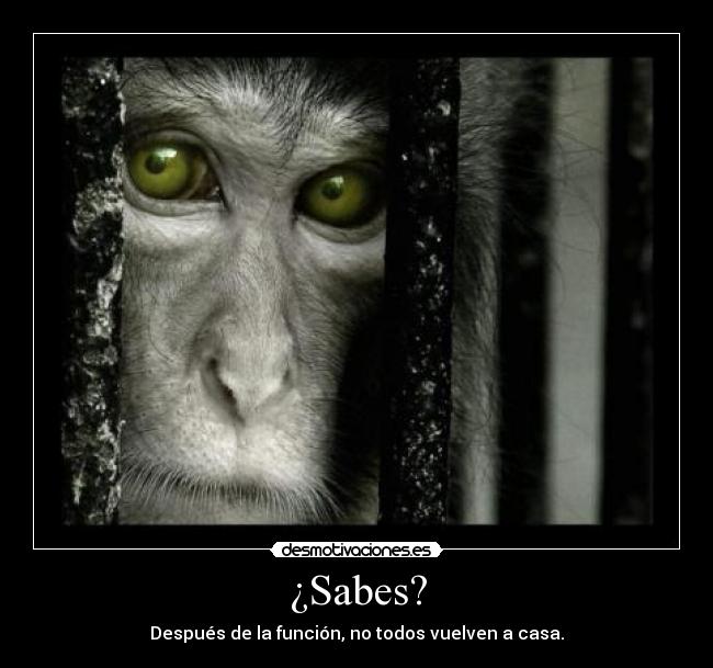 ¿Sabes? -