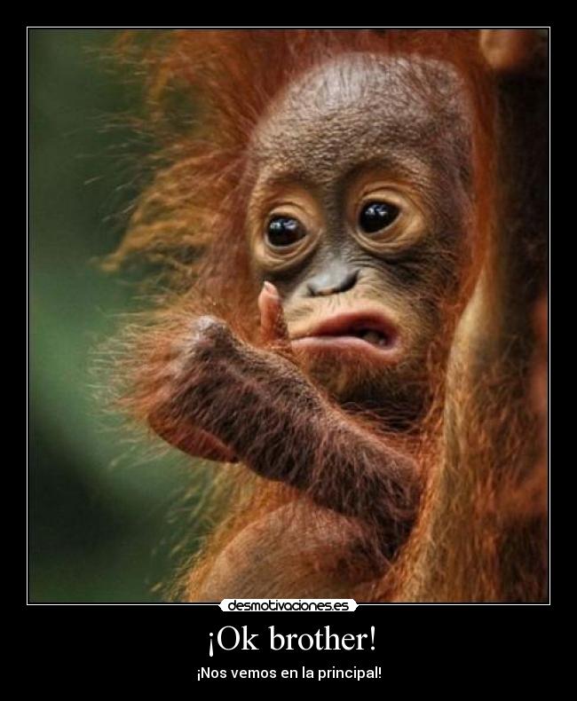 ¡Ok brother! - ¡Nos vemos en la principal!
