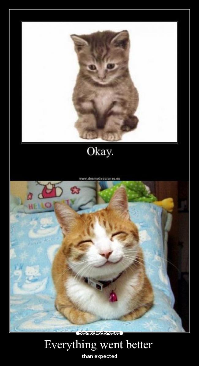 Everything went better -