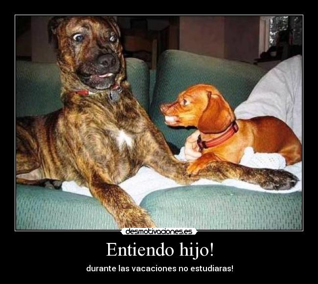 Entiendo hijo! - 