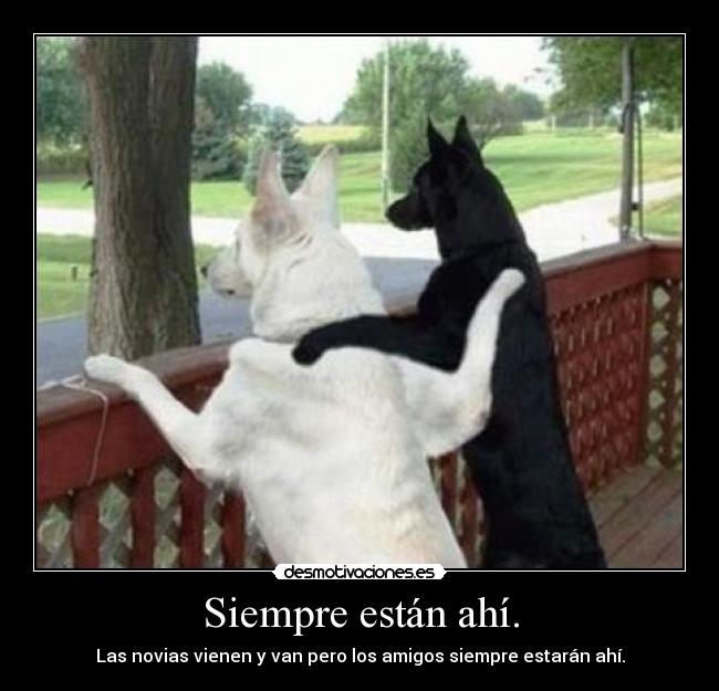 Siempre están ahí. - Las novias vienen y van pero los amigos siempre estarán ahí.