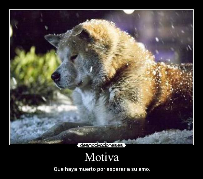 Motiva - 