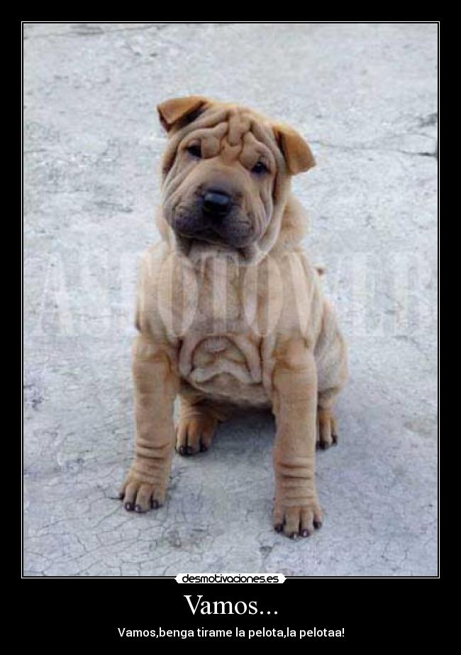 Vamos... - Vamos,benga tirame la pelota,la pelotaa!