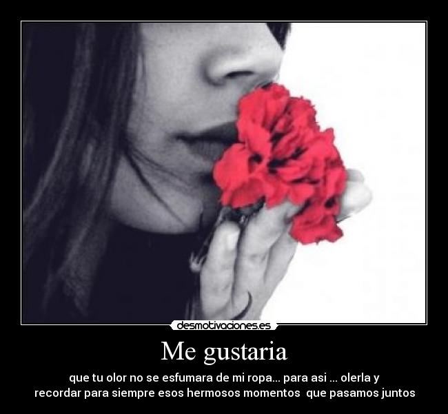 Me gustaria - que tu olor no se esfumara de mi ropa... para asi ... olerla y
recordar para siempre esos hermosos momentos que pasamos juntos
