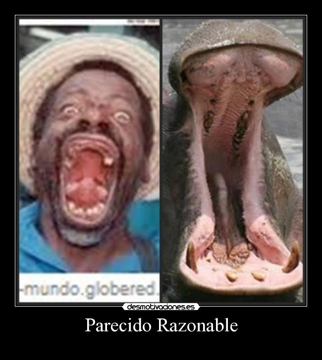 Parecido Razonable -