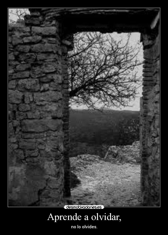 Aprende a olvidar, - no lo olvides.