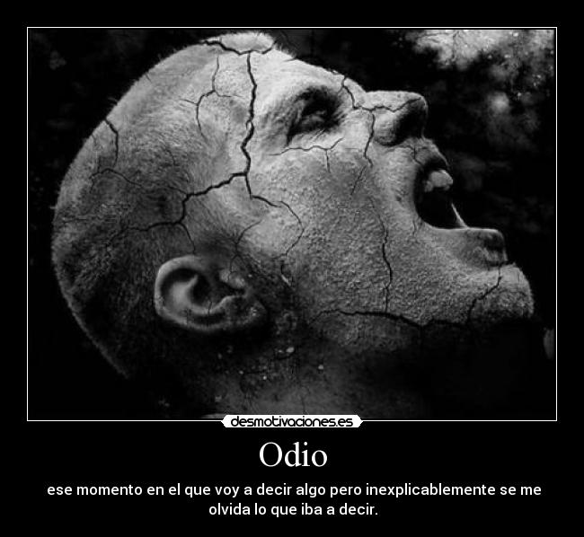 Odio - 