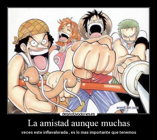 La amistad aunque muchas - veces este inflavalorada , es lo mas importante que tenemos