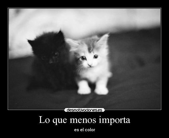 Lo que menos importa - es el color