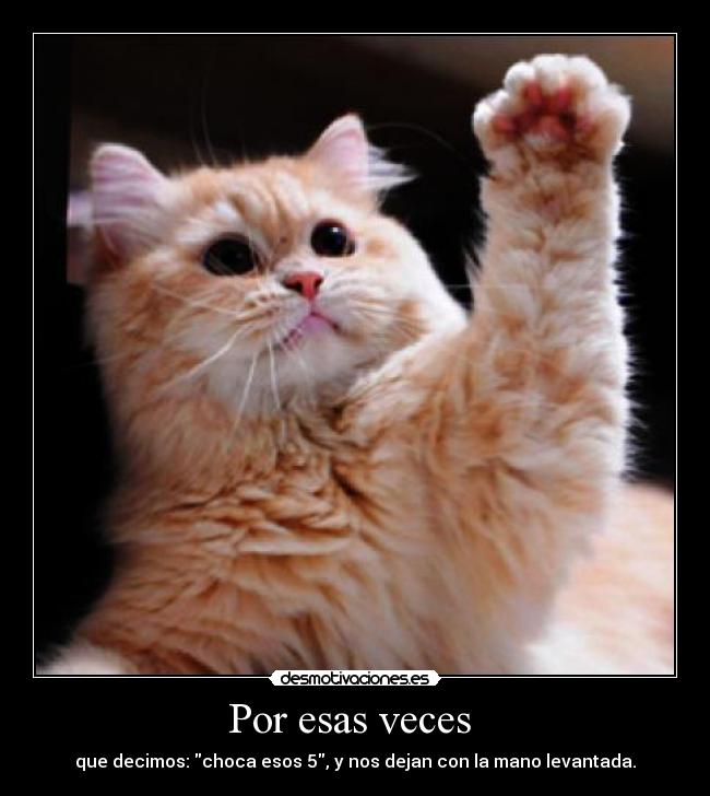 carteles por esas veces desmotivaciones