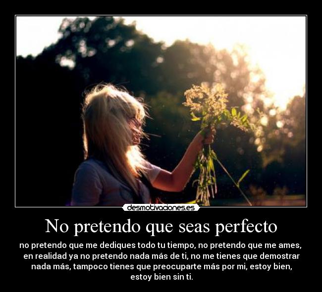 No pretendo que seas perfecto - no pretendo que me dediques todo tu tiempo, no pretendo que me ames, 
en realidad ya no pretendo nada más de ti, no me tienes que demostrar
nada más, tampoco tienes que preocuparte más por mi, estoy bien,
estoy bien sin ti.