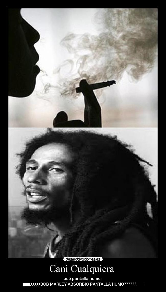 Cani Cualquiera - usó pantalla humo,
¡¡¡¡¡¡¡¿¿¿¿¿BOB MARLEY ABSORBIÓ PANTALLA HUMO??????!!!!!!!