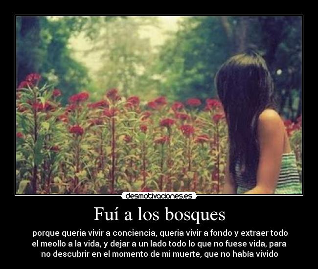 Fuí a los bosques - porque queria vivir a conciencia, queria vivir a fondo y extraer todo
el meollo a la vida, y dejar a un lado todo lo que no fuese vida, para
no descubrir en el momento de mi muerte, que no había vivido