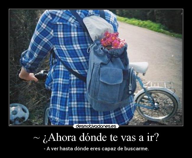 ~ ¿Ahora dónde te vas a ir? - - A ver hasta dónde eres capaz de buscarme.