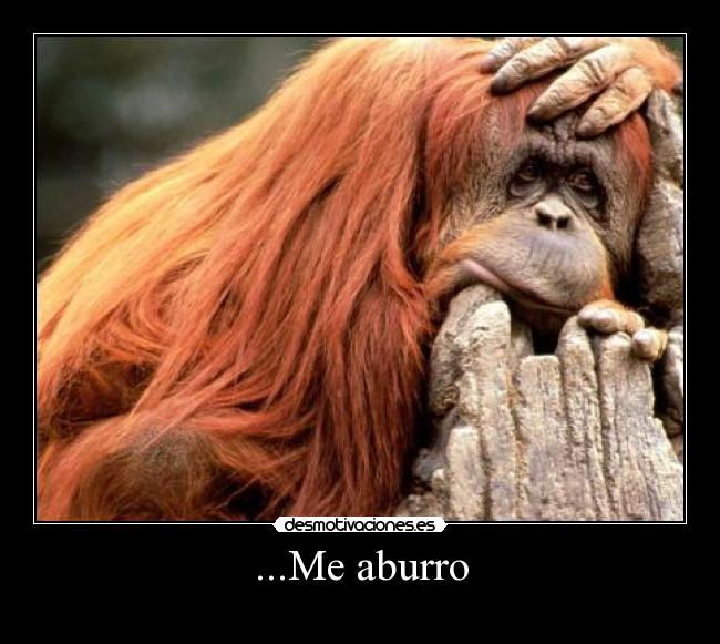 ...Me aburro -