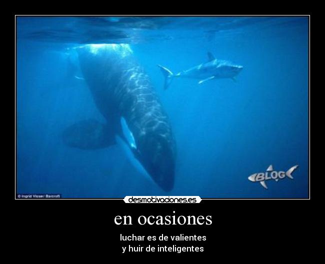 en ocasiones -
