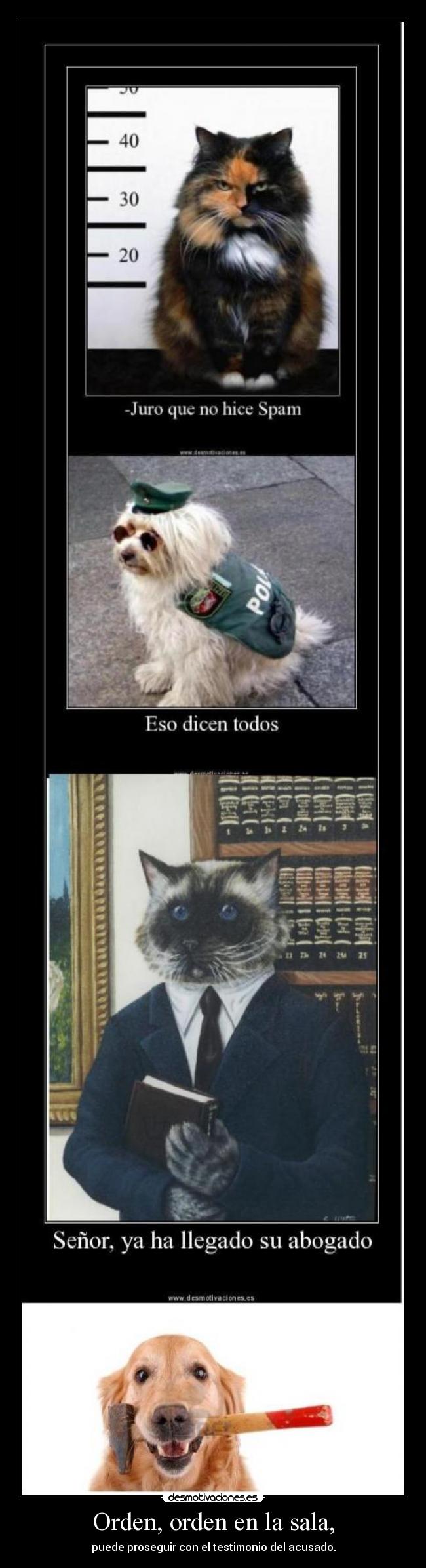 Orden, orden en la sala, - 