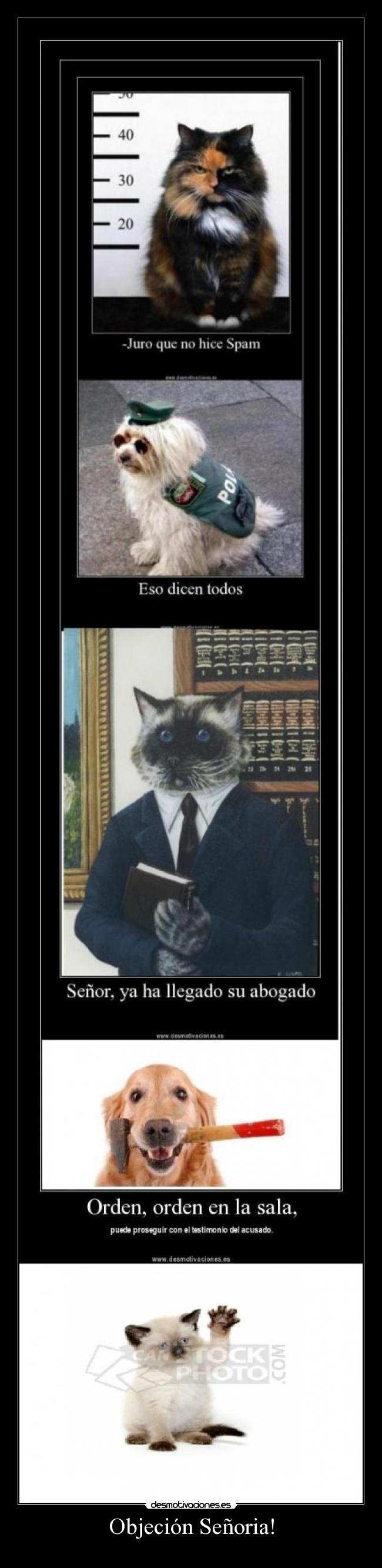 Objeción Señoria! - 