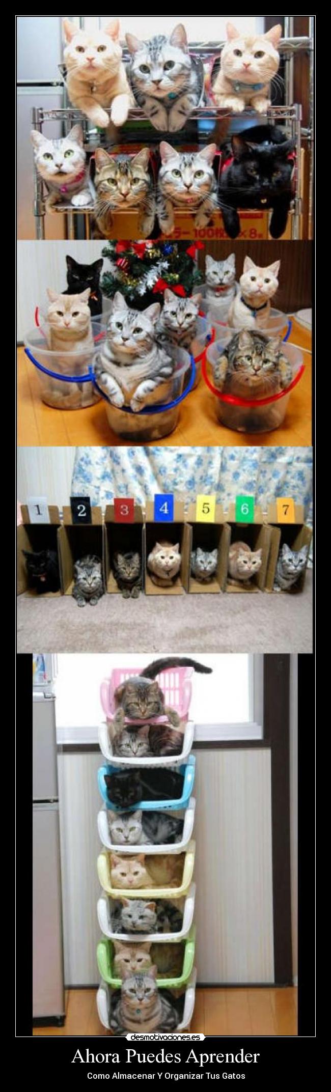 Ahora Puedes Aprender - 