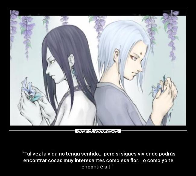 - Tal vez la vida no tenga sentido... pero si sigues viviendo podrás
encontrar cosas muy interesantes como esa flor... o como yo te
encontré a ti