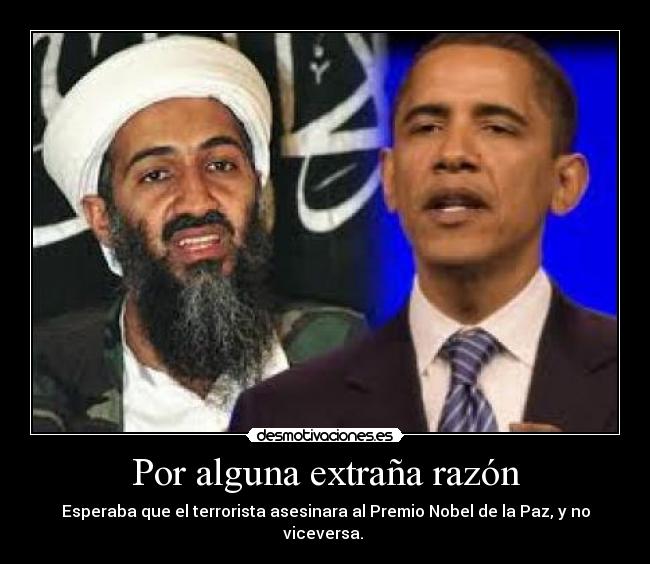 Por alguna extraña razón - 