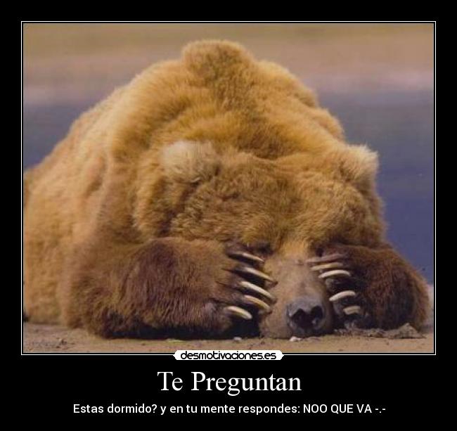 Te Preguntan -