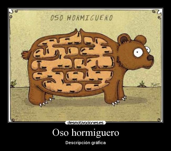 Oso hormiguero -
