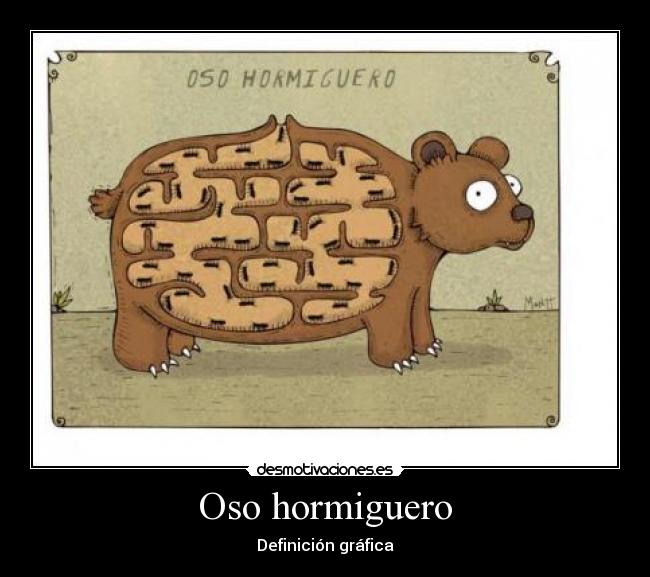 Oso hormiguero -
