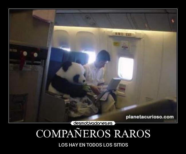 COMPAÑEROS RAROS -