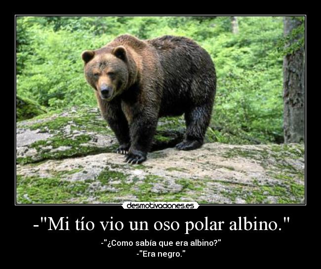 -Mi tío vio un oso polar albino. - -¿Como sabía que era albino?
-Era negro.