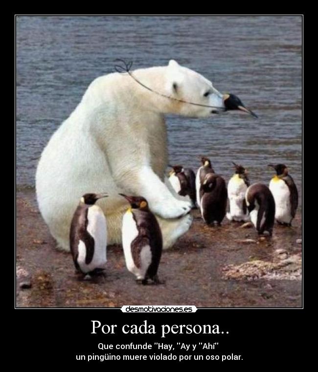 Por cada persona.. - Que confunde Hay, Ay y Ahí
un pingüino muere violado por un oso polar.