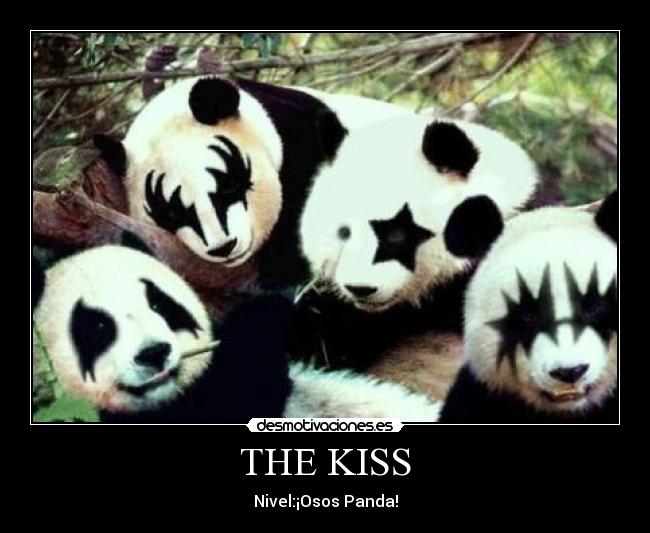 THE KISS - Nivel:¡Osos Panda!