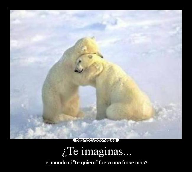 ¿Te imaginas... - 