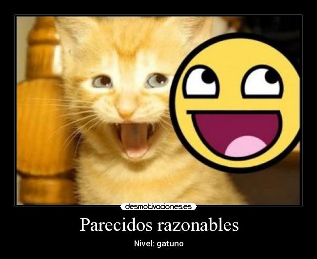 Parecidos razonables -
