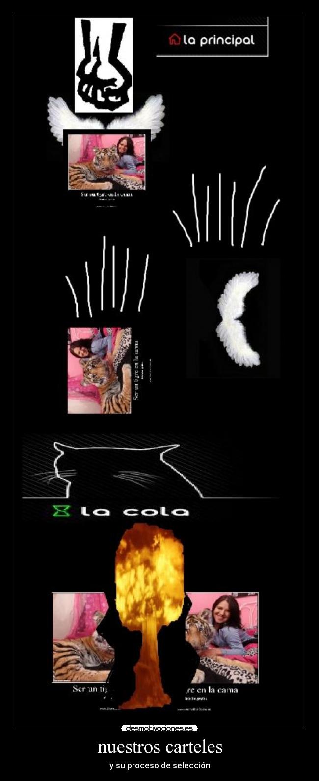 nuestros carteles - y su proceso de selección