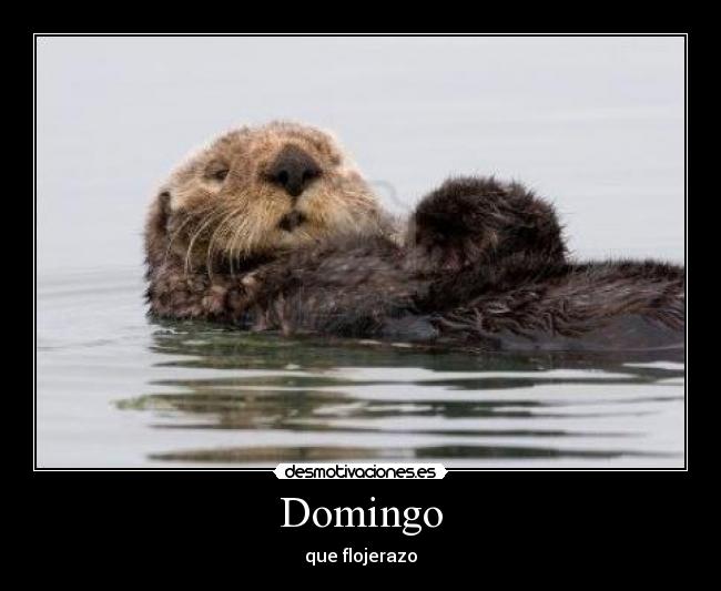 Domingo - que flojerazo