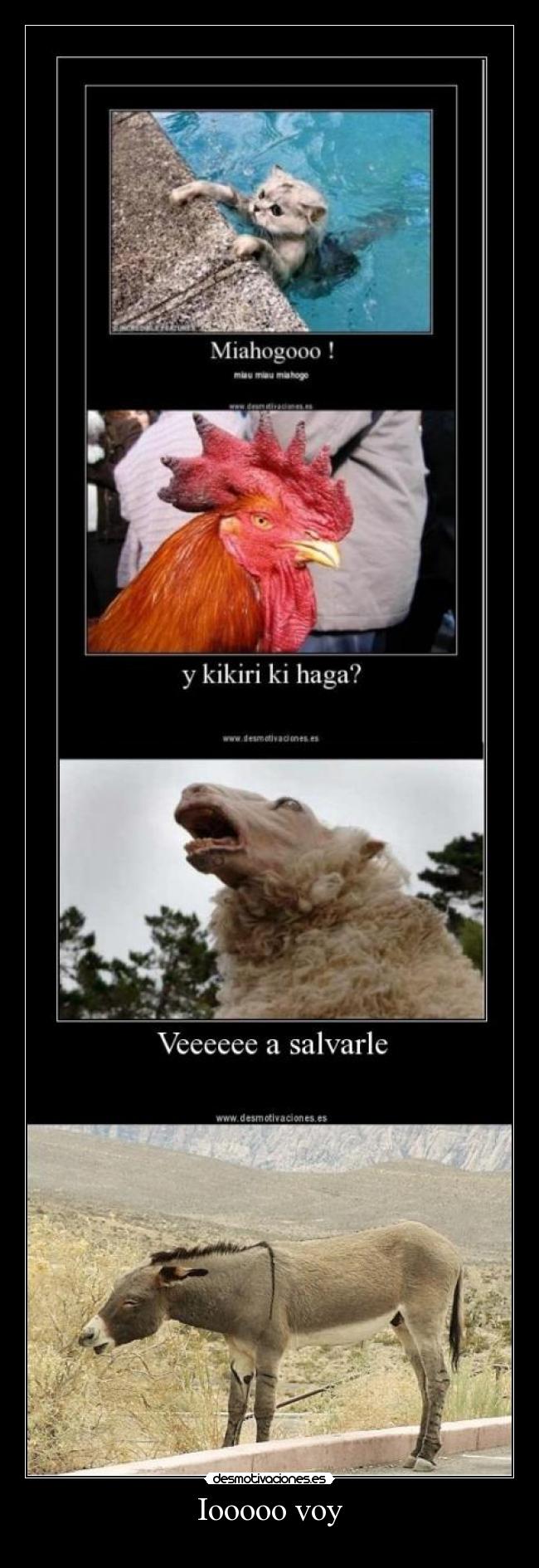 Iooooo voy -