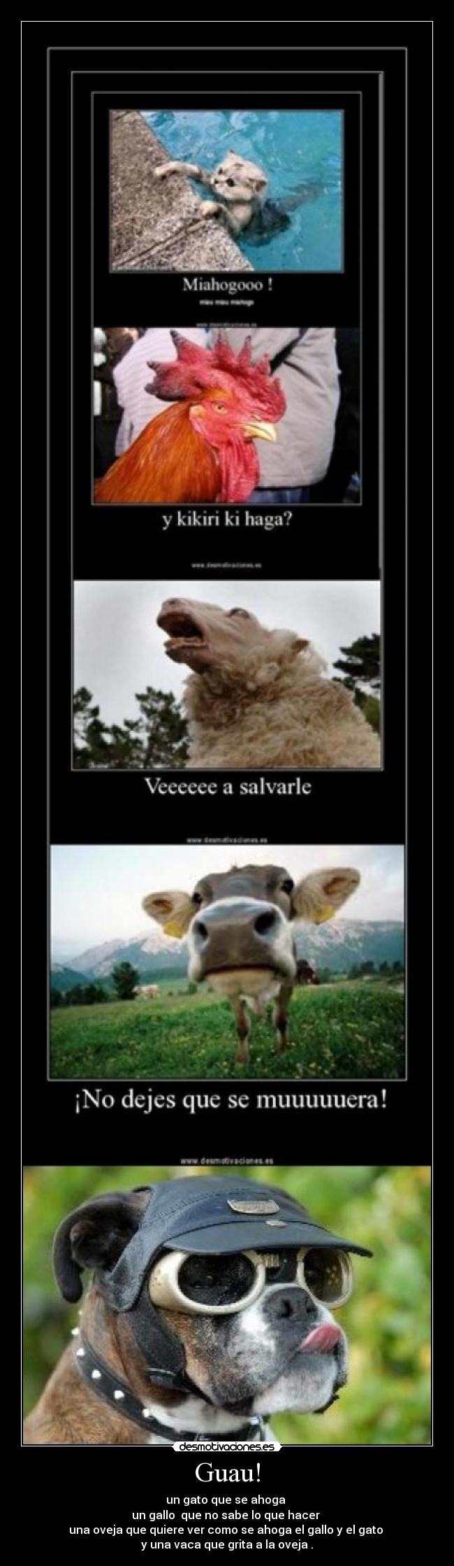Guau! - un gato que se ahoga
un gallo que no sabe lo que hacer
una oveja que quiere ver como se ahoga el gallo y el gato
y una vaca que grita a la oveja .