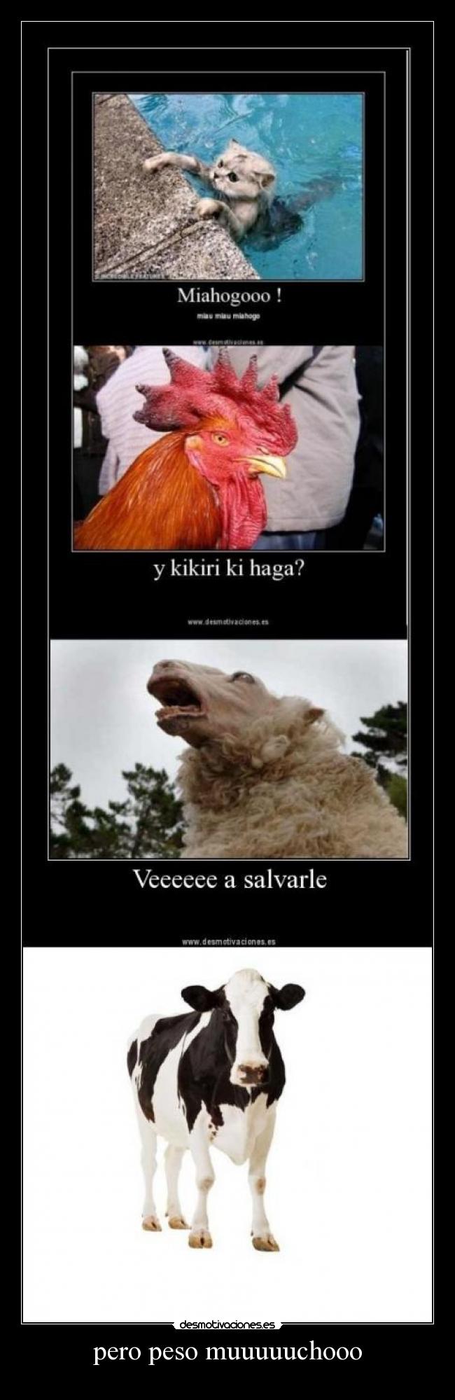 pero peso muuuuuchooo -