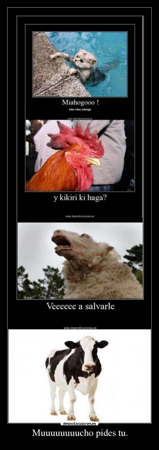 Muuuuuuuucho pides tu. -