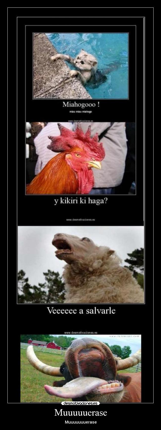 Muuuuuerase - Muuuuuuuerase