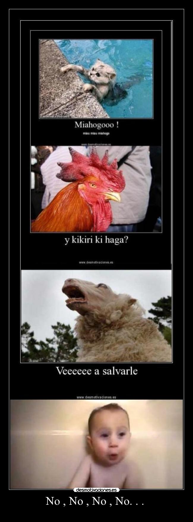 No , No , No , No. . . -